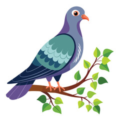 Photo of a  pigeon    with two legs flying isolated on a white background.