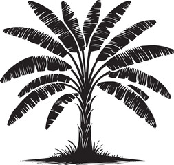 Banana Tree vector illustration black silhouette isolated on white background