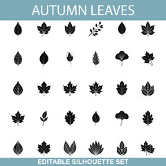Editable Autumn Leaf Silhouettes A Diverse Collection for Design