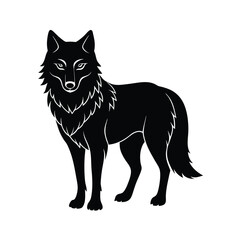A wolf vector illustration 