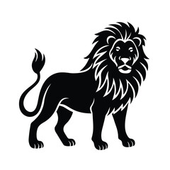 A lion  vector illustration 