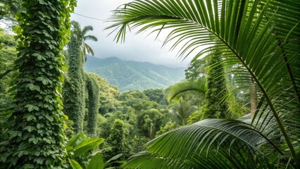 Obraz premium Green palm leaves in a tropical jungle setting surrounded by lush greenery and vines, outdoor scenery, nature, leafy