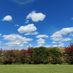 Obraz premium Paisaje azulejo