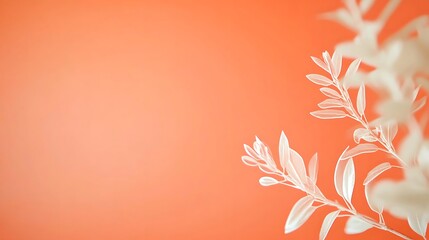 White Branches Against Coral Background