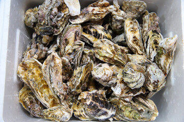 Korean seafood. very fresh oysters