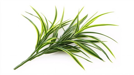 Obraz premium A vibrant arrangement of faux greenery featuring long, slender leaves in rich green and bright yellow hues.