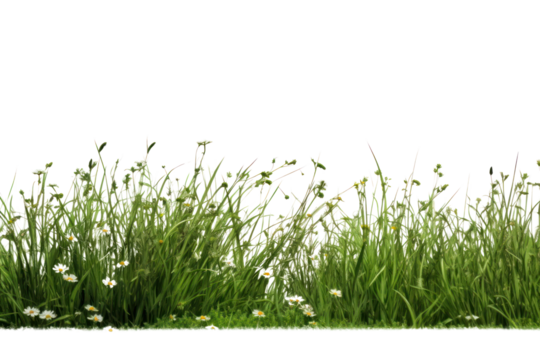 A dense patch of dark green grass with a soft, velvety texture, interspersed with small wildflowers for added color and contrast against the green backdrop.
