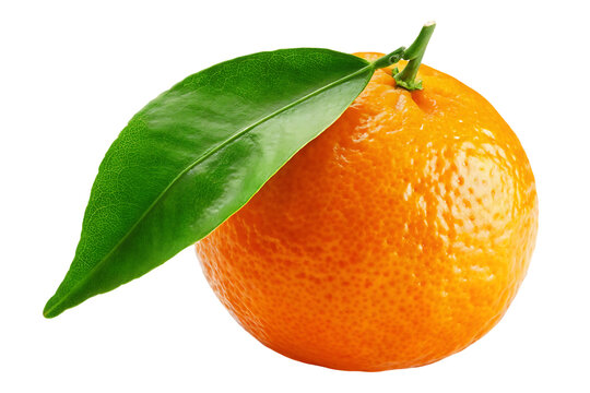 recommend clip art: tangerine with green leaf isolated on white background.PNG