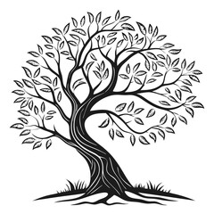 Obraz premium tree logo, black outline, vector graphic, transparent background