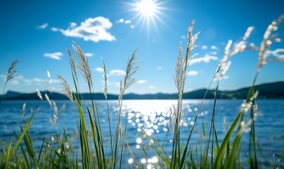 Sunny lake, grasses, mountains. Summer nature scene