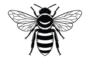 Bee silhouette vector graphic illustration.