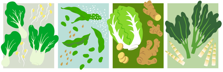 Asian Vegetable Collection. Bok Choi, beans sprouts, soy beans, edamame beans, Chinese cabbage, ginger root, Chinese broccoli, bamboo shoots.
