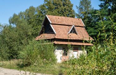 Tiled roof. Abandoned House. Old home in forest. Green trees