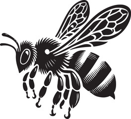 bee on a white background