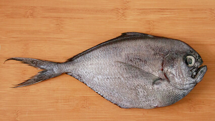 A silver atlantic pomfret or brama brama fish displayed on a wooden surface, highlighting its...