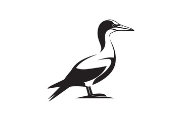  black and white simple Gannet bird vector silhouette 