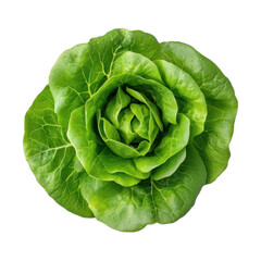 Obraz premium Fresh green lettuce, ideal for healthy dishes. transparent background
