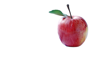 Heartfelt Social Media Tributes to Teachers on Teacher's Day Isolated on Transparent Background