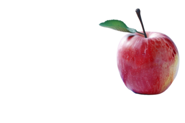 Heartfelt Social Media Tributes to Teachers on Teacher's Day Isolated on Transparent Background