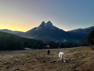 Pedraforca