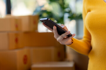 Online Business Management: A close-up of a woman's hands holding a smartphone, with a stack of cardboard boxes in the background, capturing the dynamic and busy world of online business.  