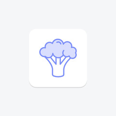 Broccoli duotone line icon, vector, pixel perfect, illustrator file