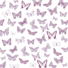 Vintage Butterfly Collection Illustration Pattern