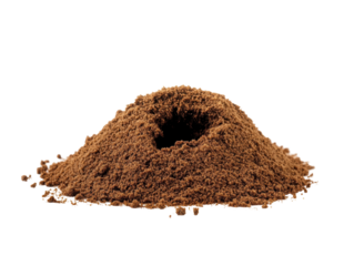 Isolated Ant Hill or Mound