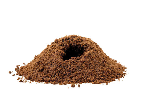 Isolated Ant Hill or Mound