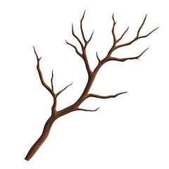 A bare branch with intricate twigs and textures. PNG