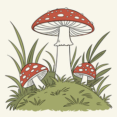 fly agaric mushroom