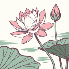 pink lotus flower