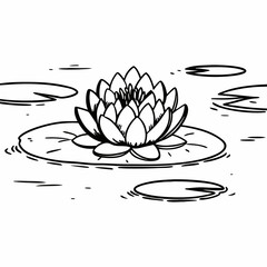 water lily flower