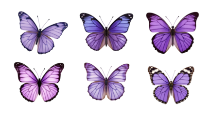 Set of Unique Purple Butterflies in Different Designs Isolated on a Transparent Background (PNG).