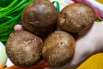 fresh onion, shiitake mushroom, carrot, and chives