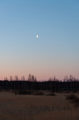 Moon over reeds and bushes in springtime in Pori, Finland