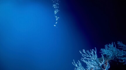 Long exposure infrared photograph of an underwater scene. Blue hues gradient from dark to light.
