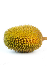 Durian fruit shown whole with its characteristic spiky skin on a white background, highlighting its exotic appearance and texture.