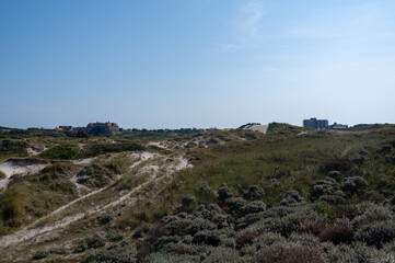 Dunes nature reserve with view of houses of the town of Egmond aan Zee