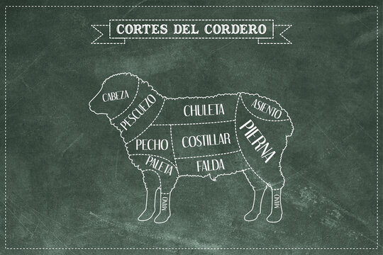 Gu&iacute;a de corte de carne de cordero