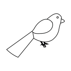 Bird vector line art illustration.
