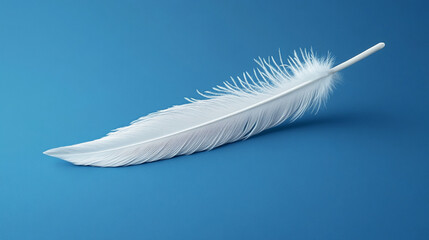 Obraz premium Clean white feather resting on blue studio background
