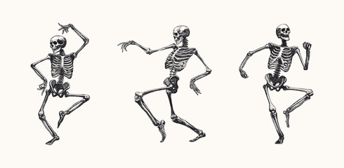 funny skeleton dance set isolated various dynamic poses movement hand drawn sketch card design element line art detailed vector illustration