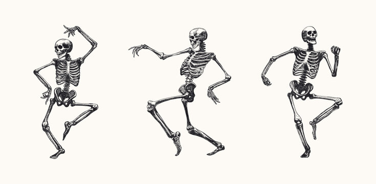 funny skeleton dance set isolated various dynamic poses movement hand drawn sketch card design element line art detailed vector illustration