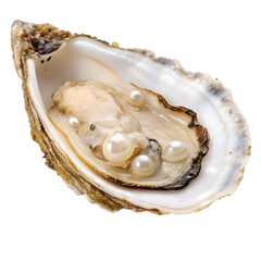 Oysters isolated on white background PNG transparent

