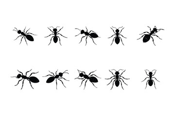 set of ant silhouette vector icon illustration , ant icon vector 
