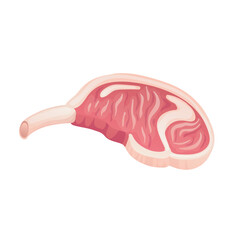 Pork meat on bone in flat design. Uncooked food, deli butcher product. Vector illustration isolated.