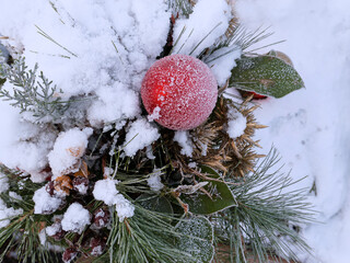 Details bei Reif und Schnee, Strukturen auf Blumen Pflanzen am Grab