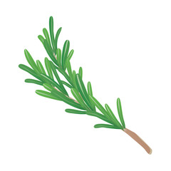 Rosemary twig in flat design. Cooking spice, scented herb condiment. Vector illustration isolated.