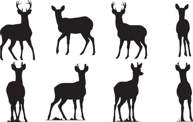 Fototapeta premium Deer silhouette